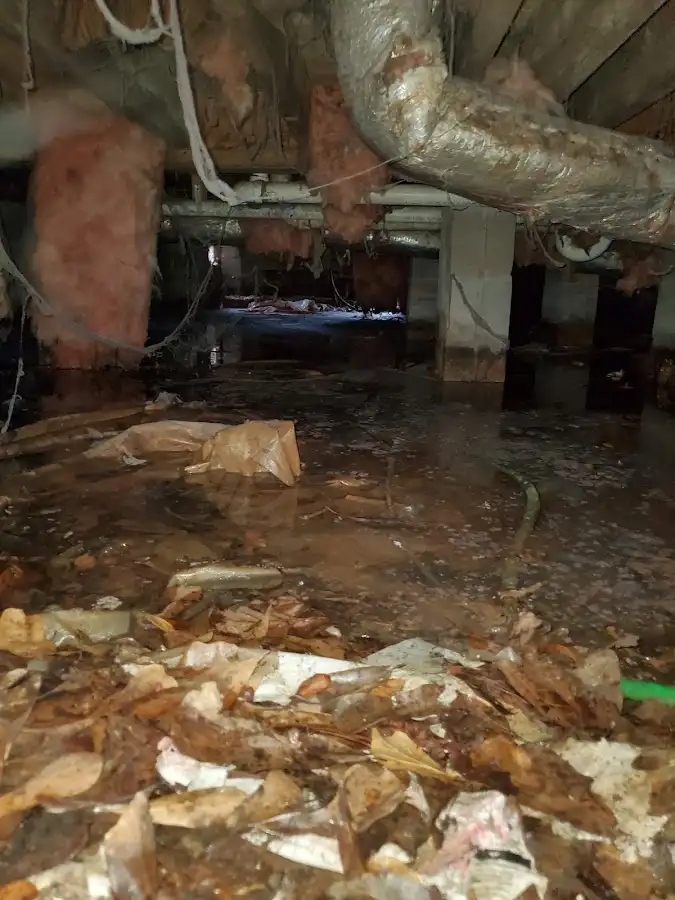 Crawl space flood assessment for Commercial Water Damage Restoration in Robinson